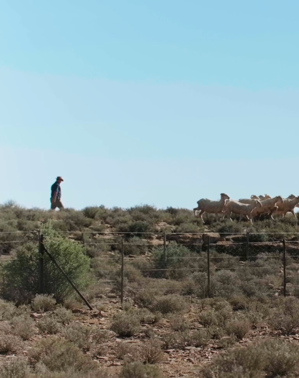 Farmer walking through fields