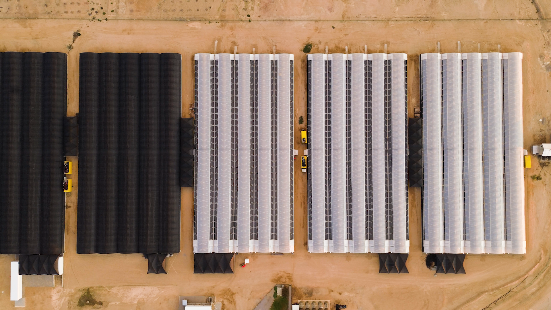 Golden hour farm landscape