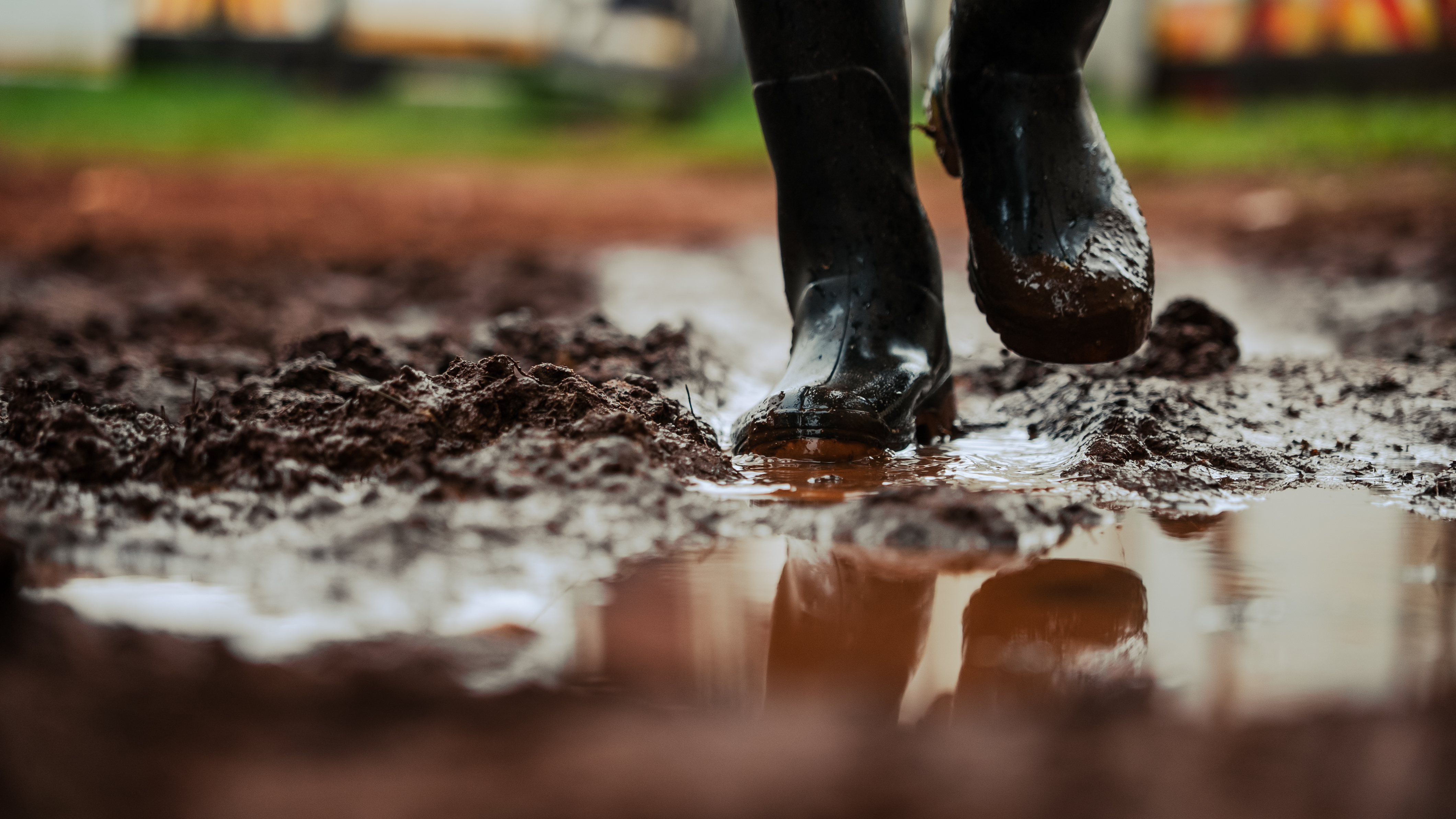 Reckless Polo Chased by The Rain